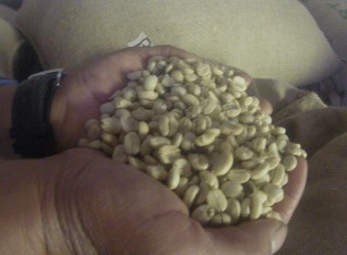 Dry Coffee Beans