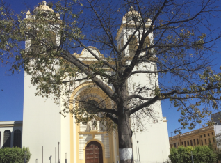 Front of the church that has to get touched up everytime there is an earthquake