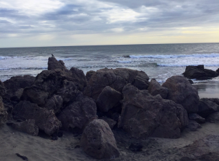 Beach at dawn