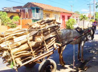 Horse and carriage in Leon