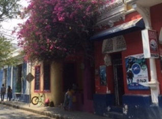 Beautiful Buildings and flowers