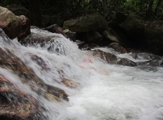 Mark putting his head in the falls