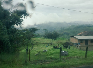 First glimpse of Eternal Spring from the bus window