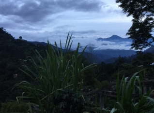 Misty clouds after the rain