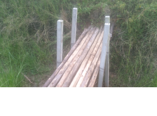 Wooden bridge